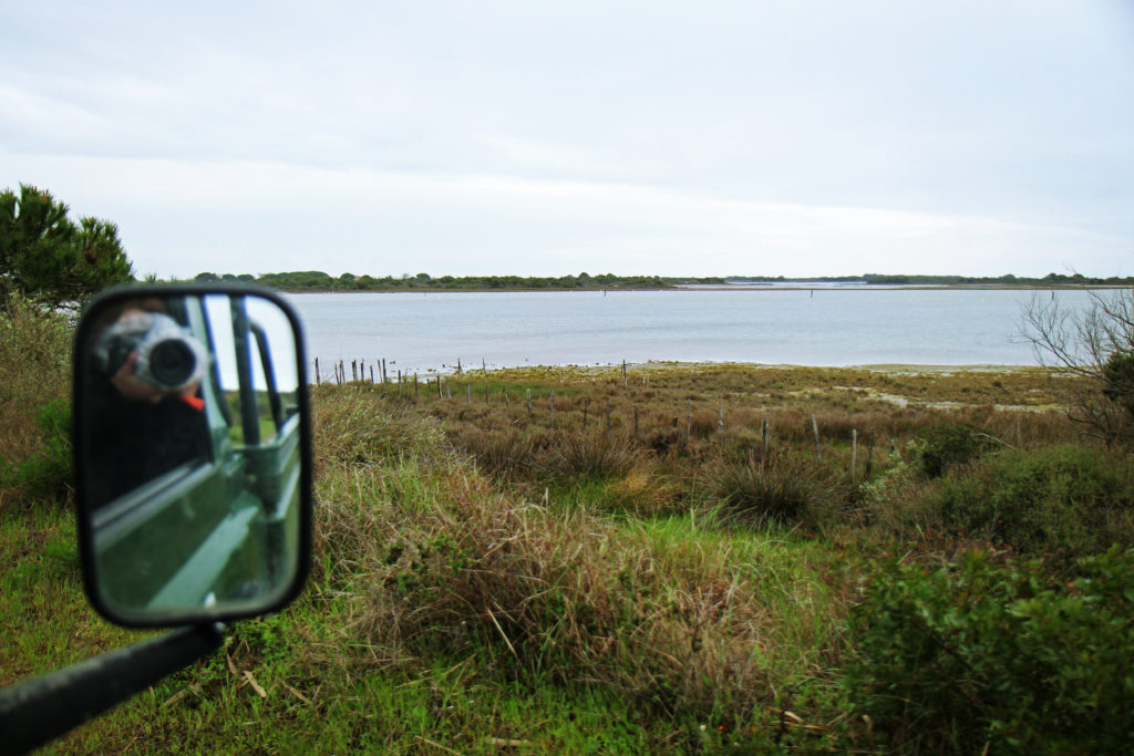 Camargue_04_MLB