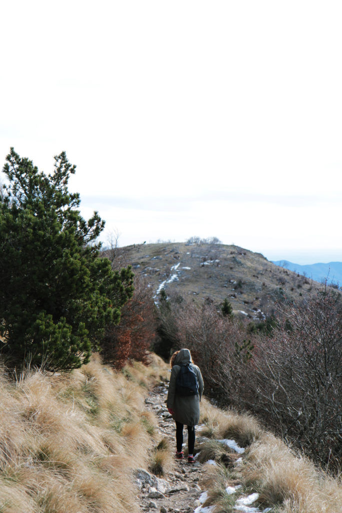 Cévennes3