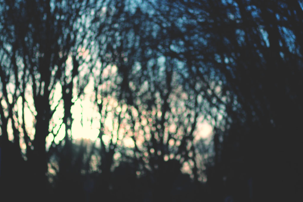 OudePlantage_MLB_05