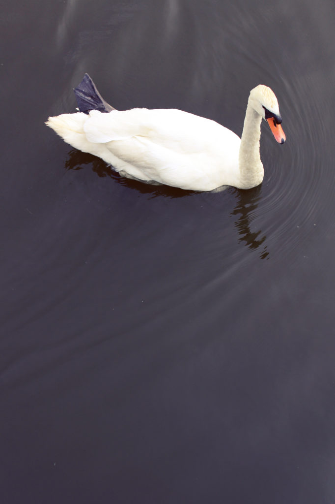 Netherlands_15