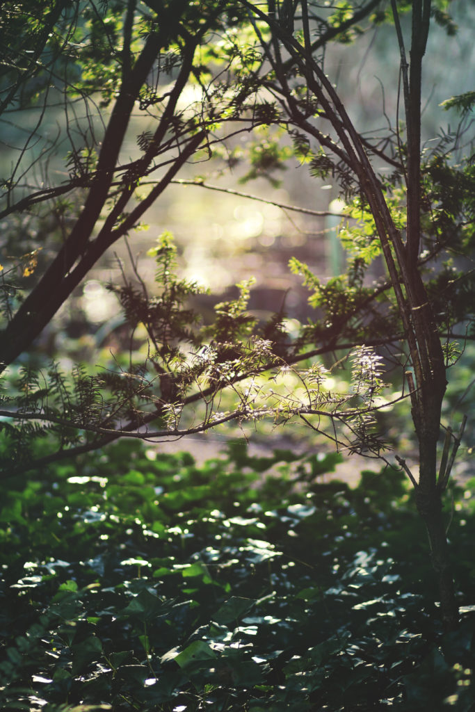 Parcs_MLB_02