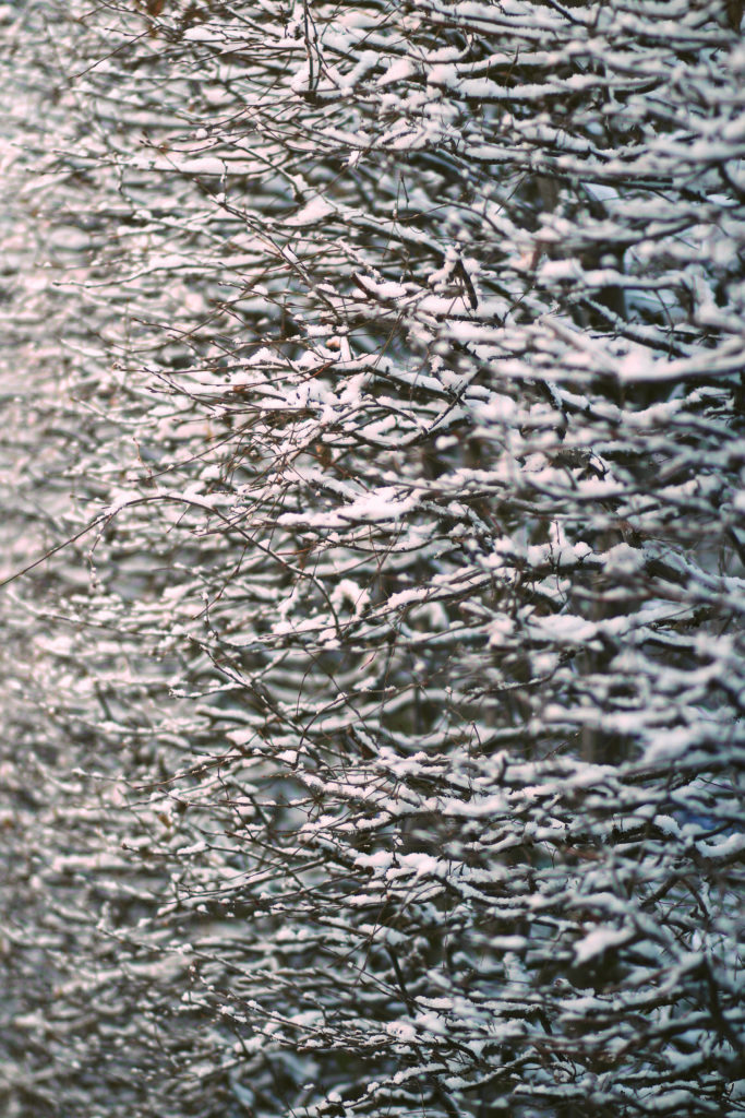 Rdam_snow_05