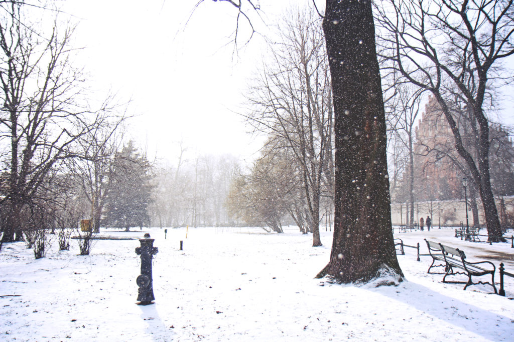 Krakow_Feb_47