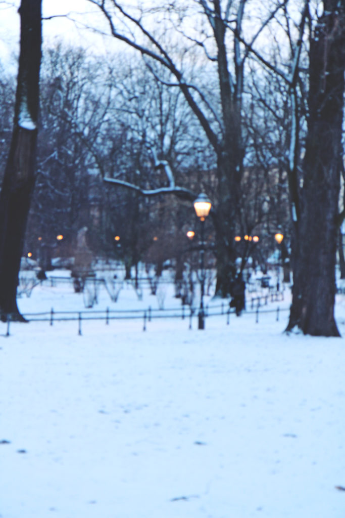 Krakow_Feb_50