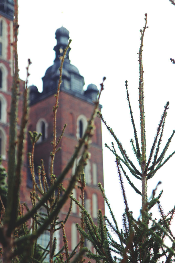 Krakow_November_MLB_12