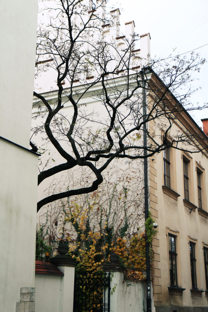 Krakow_November_MLB_13