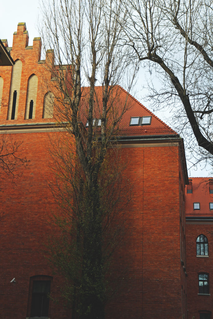 Krakow_November_MLB_18