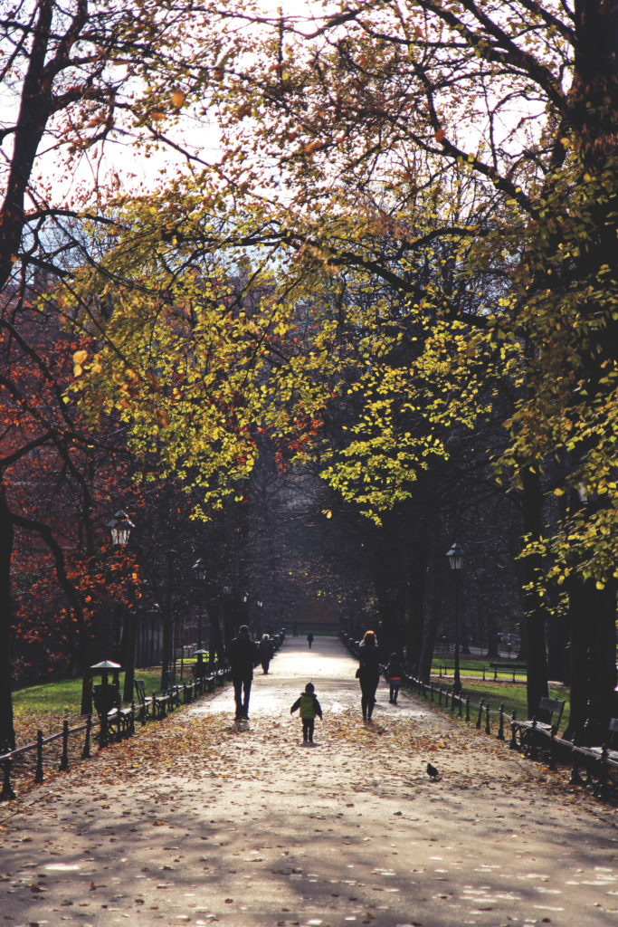 Krakow_November_MLB_19