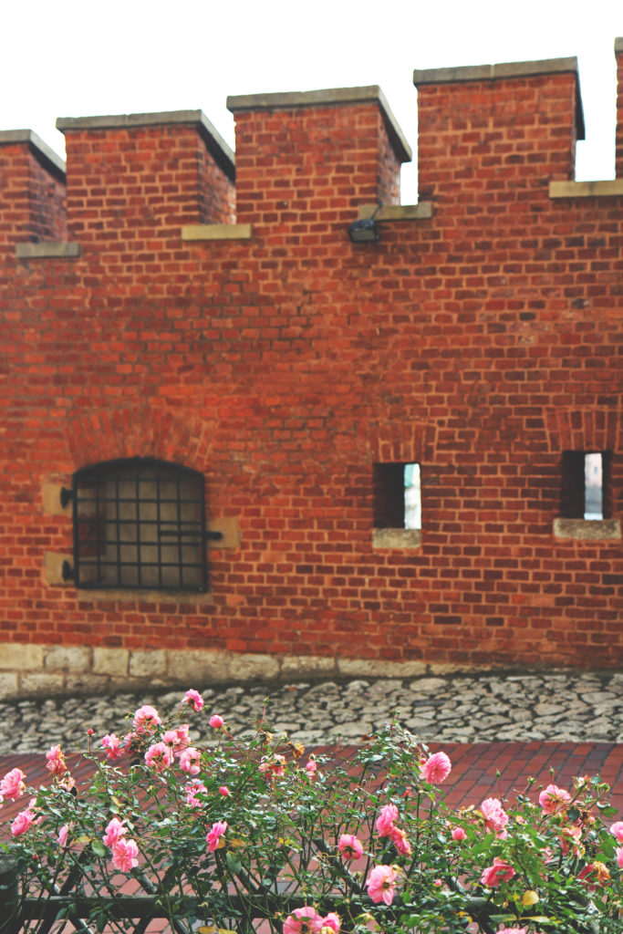 Krakow_November_MLB_26
