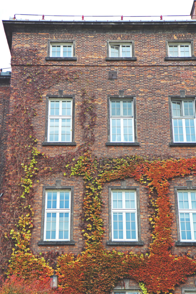 Krakow_November_MLB_27