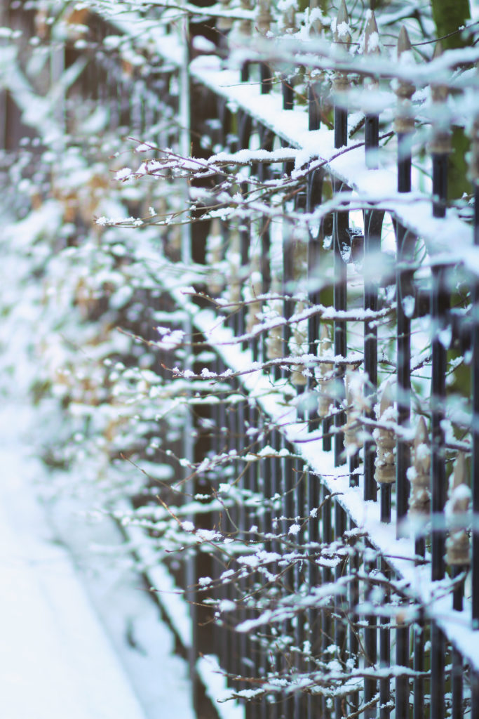Rdam_snow_08