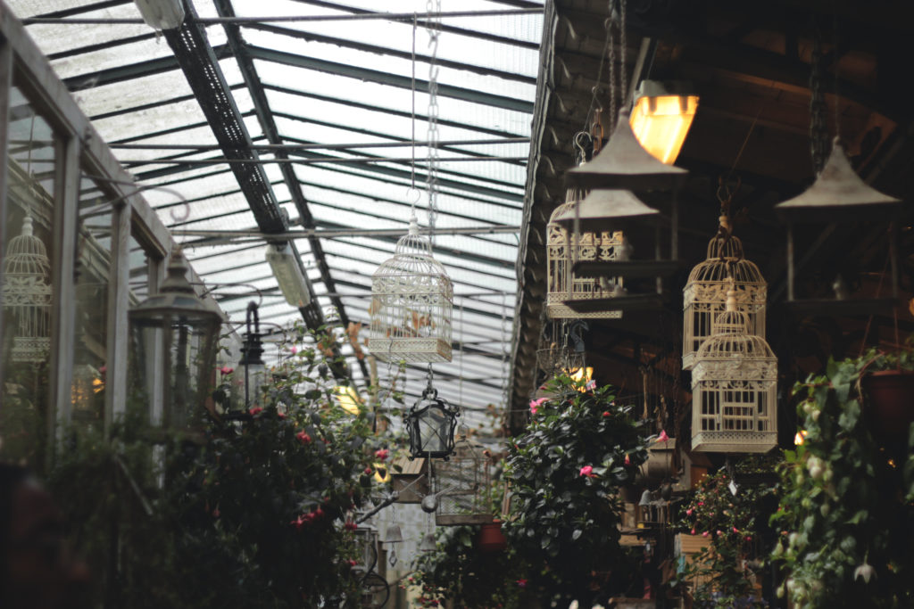Paris8