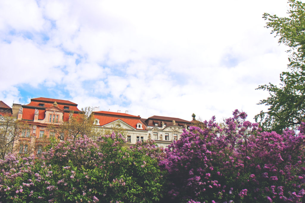 Prague_Mai_05_MLB