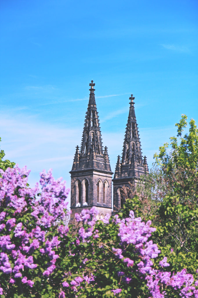 Prague_Mai_28_MLB