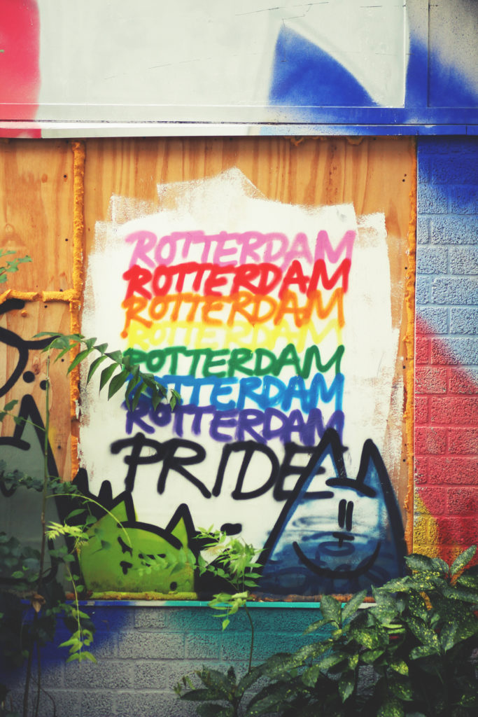 Rdam_MLB_01