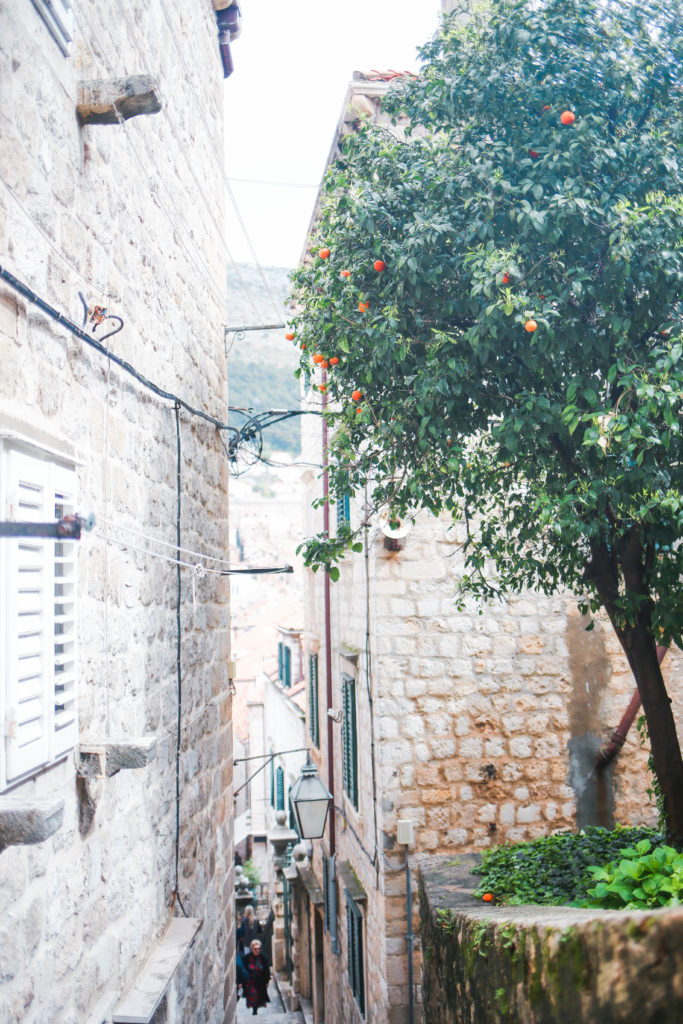 Dubrovnik_25_MLB