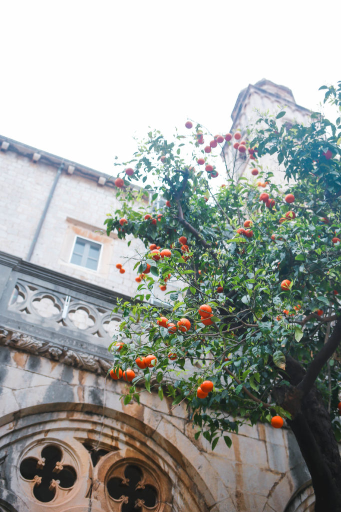 Dubrovnik_77_MLB