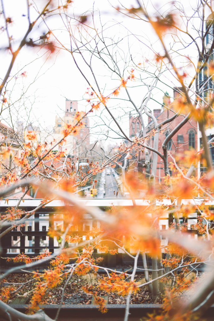 MLB_NYC-65