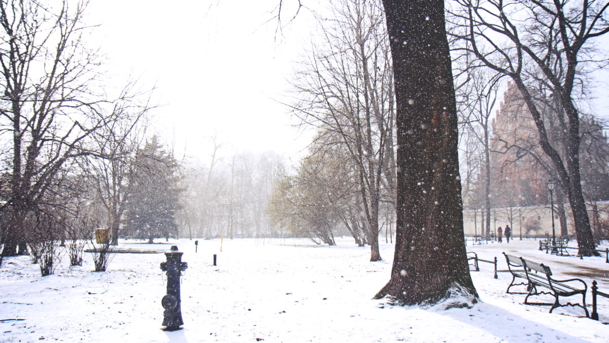 Cracovie, en hiver