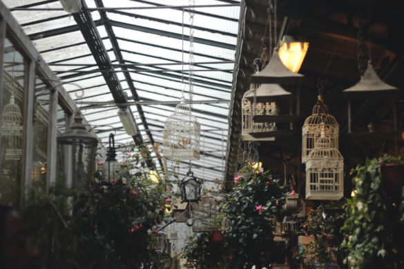 Paris8