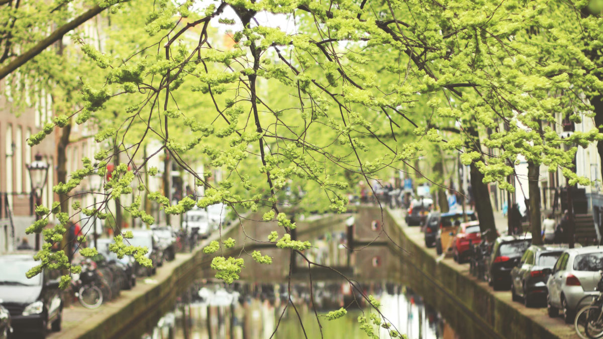 Les Pays-Bas, toujours