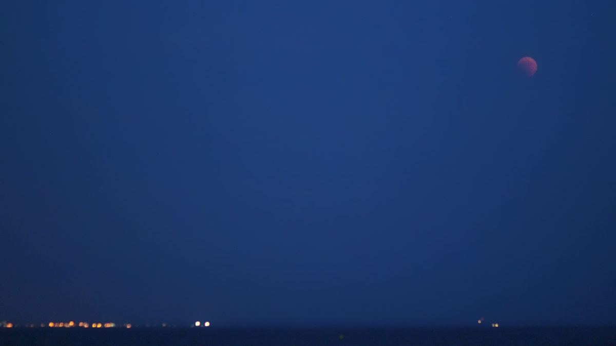 Pink moon