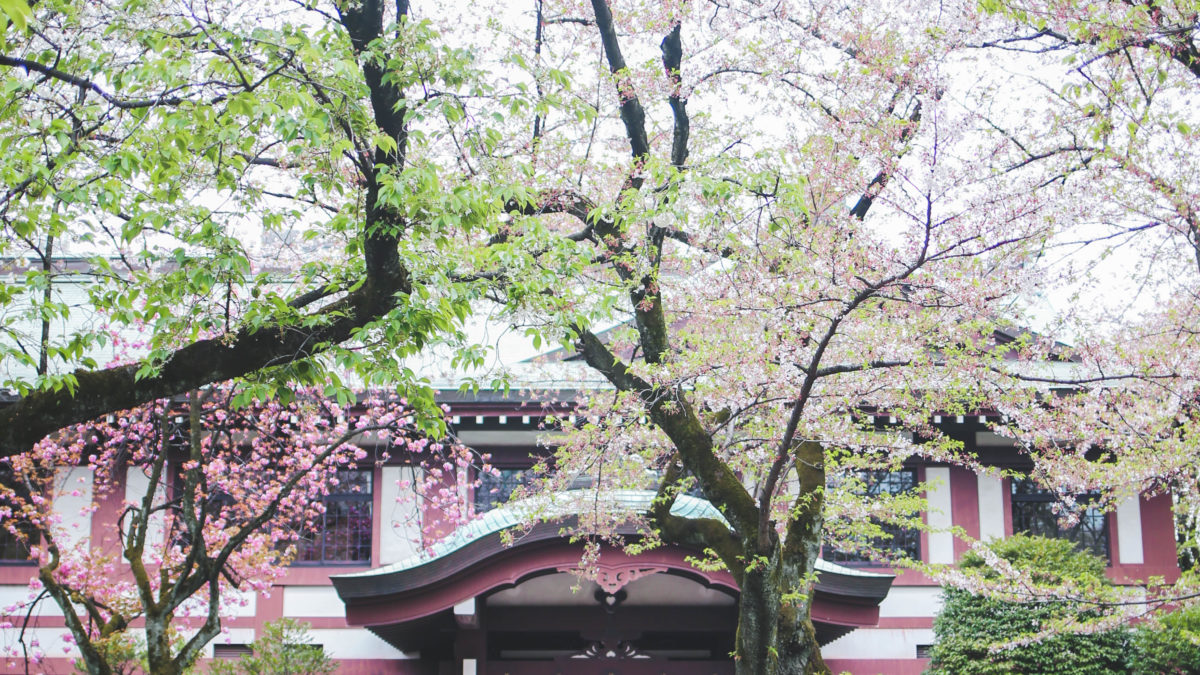 Japon, le road trip de 3 semaines