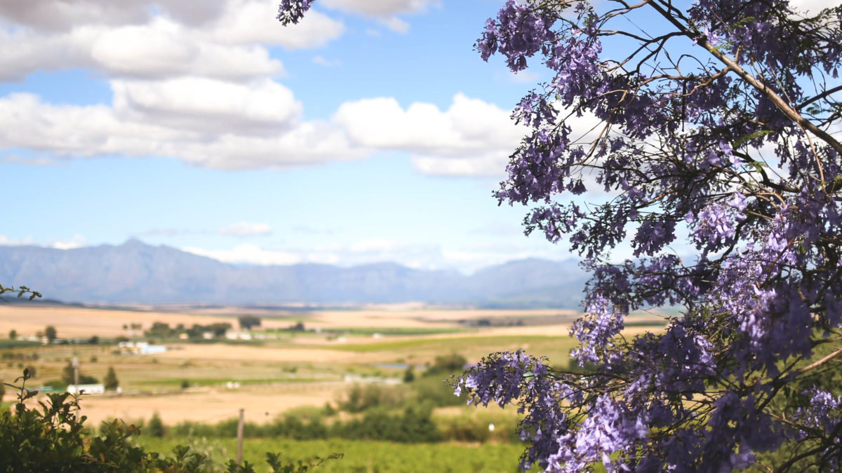 Le printemps au bout du monde